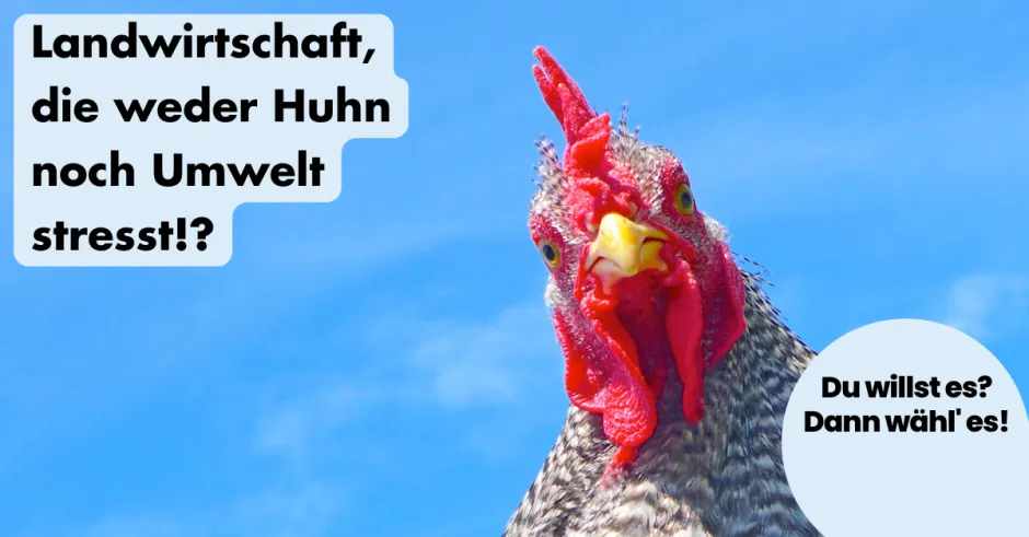 ohnelogo_linkedin_landwirtschaft_hahn